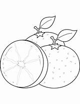 Oranges coloring Page  Free Printable Coloring Pages sketch template