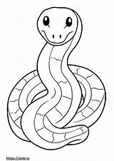 Eastern Rat Snake coloring Pages  Free Printable sketch template