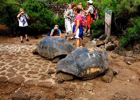 Parc national galapagos » Vacances - Arts- Guides Voyages