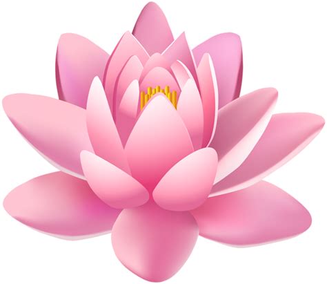 Lotus flower PNG