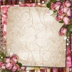 Pink and purple vintage background with dried roses — Stock Photo © o ...