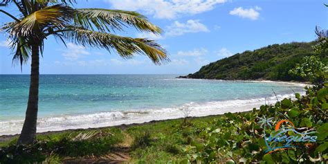 The Amazing Beaches of Vieques… One of the Islands of Puerto Rico | Vieques