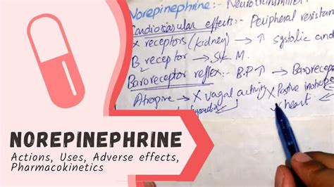 NOREPINEPHRINE - Actions, Uses, Pharmacokinetics, adverse effects. PHARMACOLOGY - YouTube