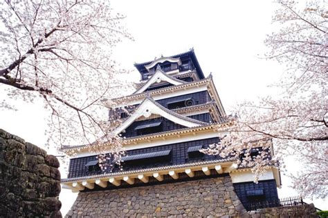 Kumamoto Castle Kumamoto-jo with Cherry Blossom from Kumamoto, Japan ...