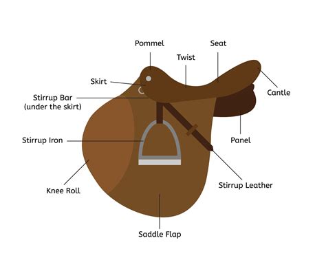 What Are the Different Parts of an English Saddle?