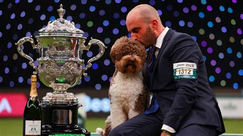 In Pics: Top dogs compete at Britain's Crufts Dog Show 2023