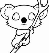 Baby Koala coloring Page  Download Print Or Color Online For Free sketch template