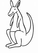 Free Printable Kangaroo Coloring Pages For Kids sketch template
