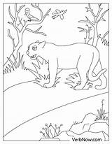 Panther Coloring Pages Printable sketch template