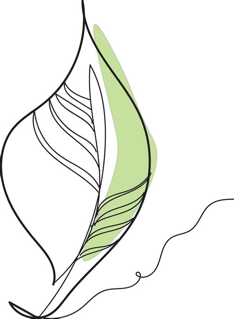 leaf line design 14953225 Vector Art at Vecteezy