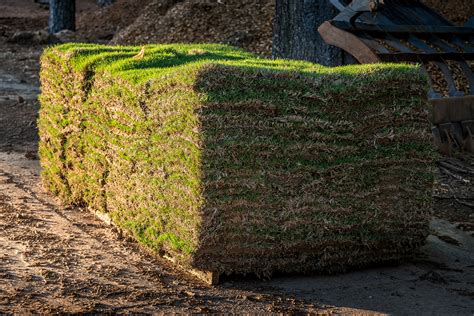 Sod Installation | Central Florida - East Coast Landscaping Services