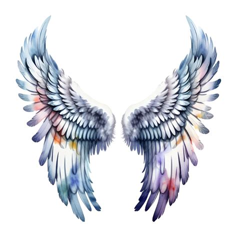 Premium AI Image | Watercolor Angel Wings Isolated on White Background