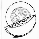 Cantaloupe outline Black And White Cute coloring Book  Premium AI sketch template