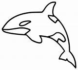 Killer Whale Orca Coloring Page sketch template