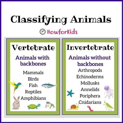 Classifying Vertebrates And Invertebrates