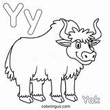 Letter Y Coloring Pages Free Printable PDF sketch template