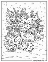 Moss Coloring Page sketch template