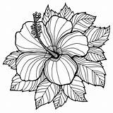 Free Printable Flower Coloring Pages sketch template