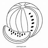 Watermelon Drawing Pdf Coloring Page Free Printable PDF sketch template