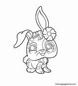 Buttercream Sunday Littlest Pet Shop Coloring Page  Free Printable sketch template