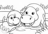 Hippo Coloring Pages sketch template