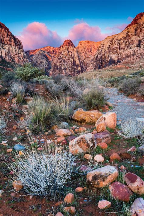 Explore the Las Vegas Wilderness | Red rock canyon national conservation area, Red rock nevada ...