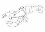 Children Coloring Lobster Graphic By Studioisamu · Creative Fabrica sketch template