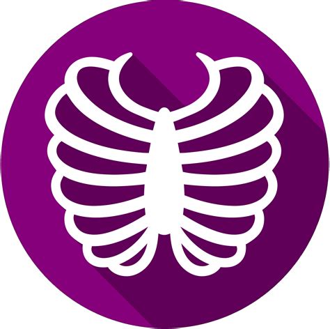 Rib cage Vector graphics Computer Icons Bone - png download - 2787*2776 - Free Transparent Rib ...