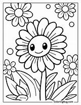 40 Daisy Flowers Coloring Pages Free Printable PDFs sketch template
