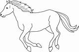 Horse Outline Drawings And Coloring Pages sketch template