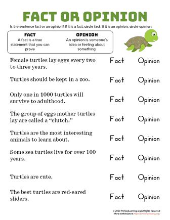 Animal Facts And Opinions Worksheets