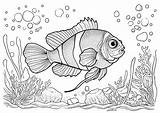 Tree Fishes In A Aquarium Adult Coloring Pages sketch template