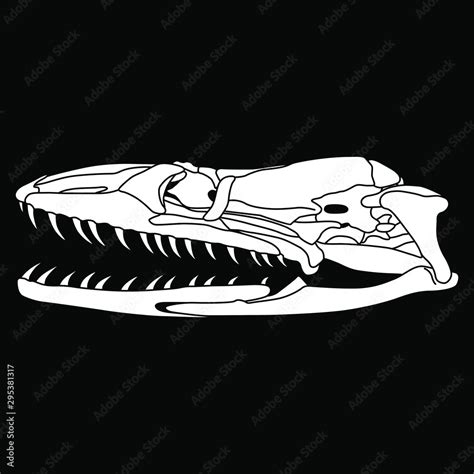 Snake skull. Black and white silhouette. Isolated vector illustration ...