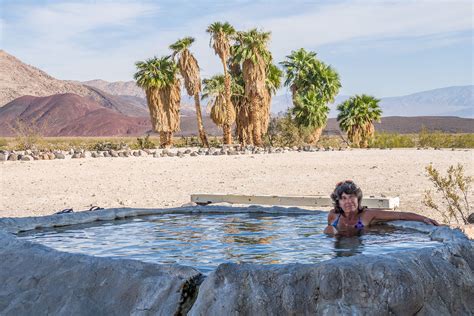 Palm Oasis shady pool | Lolo's Extreme Cross Country RV Trips