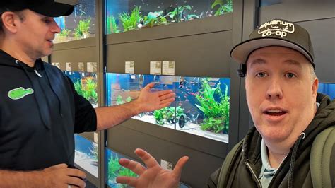 Exploring Tons of Fascinating Fish Species at Aquarium Store in Germany ...
