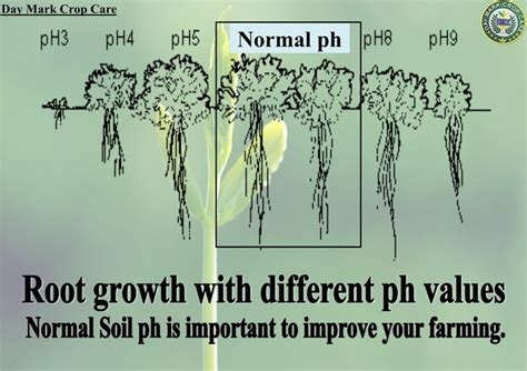 Plant growth depends on soil pH. Keeping pH neutral is best for farming. | Plant growth, Soil ph ...