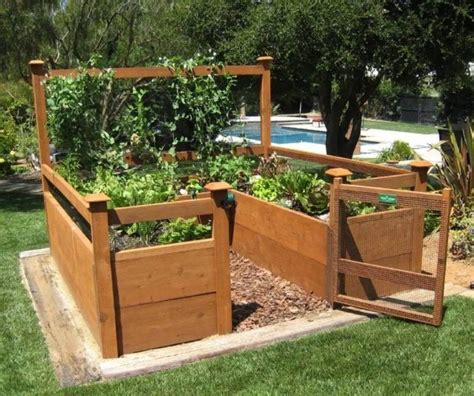 How To Build An Elevated Vegetable Garden at John Monroe blog