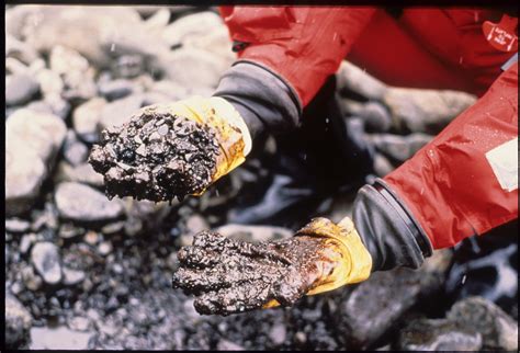 Exxon Valdez Oil Spill | CounterSpill