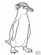 Penguin Coloring Pages  ColoringBay sketch template