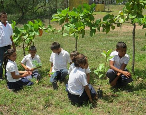 Áreas Verdes en las Instituciones Educativas Perú | Huertos Urbanos y Compostaje