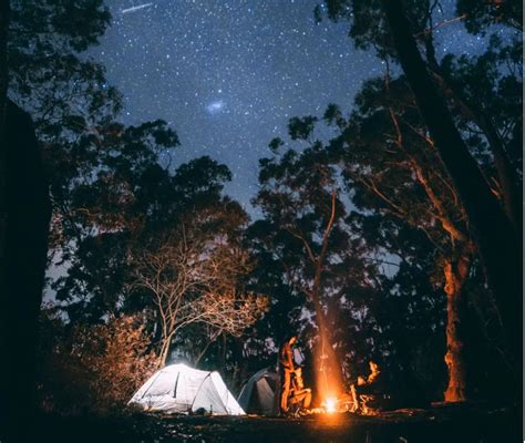 Night Camping Risks - Vacation Places To Visit