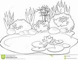 Pond Animals Coloring Pages At GetColoringscom  Free Printable sketch template