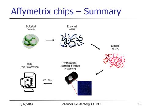 PPT - Affymetrix and BioConductor PowerPoint Presentation, free ...