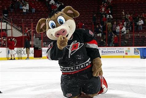 Who is Carolina Hurricanes Mascot Stormy The Ice Hog?