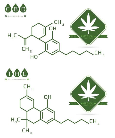 CBD vs. THC: Get The Facts About The Difference