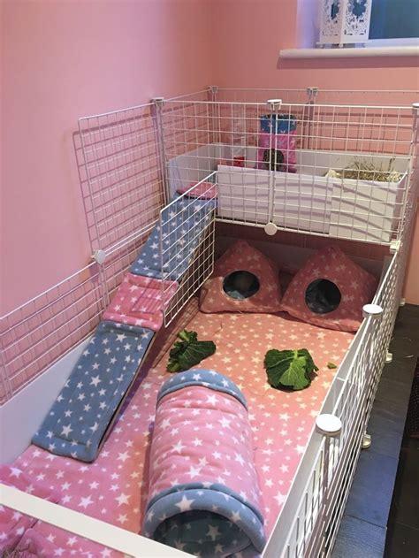 Pin on Guinea Pig Cages