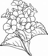 Simple flower coloring Pages Coloring For Adults Hand drawing  sketch template