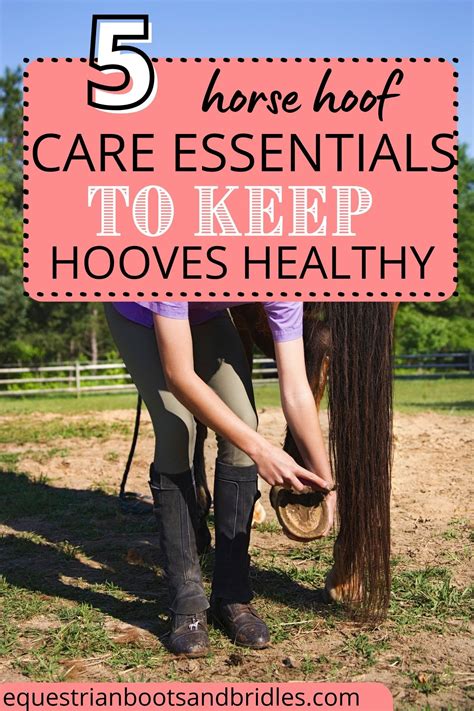 Horse Care Supplies, Horse Grooming Supplies, Horse Grooming Kit, Horse Care Tips, Horse ...