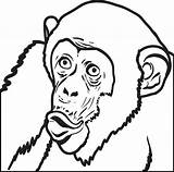 Chimpanzee Coloring Page At GetColoringscom  Free printable Colorings sketch template
