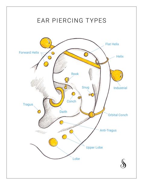 Ear Diagram Piercing